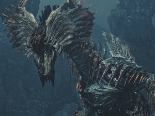 《怪物猎人荒野》历战王冻峰龙任务介绍