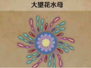 怪物猎人荒野：涌油谷区域的大望花水母具体位置