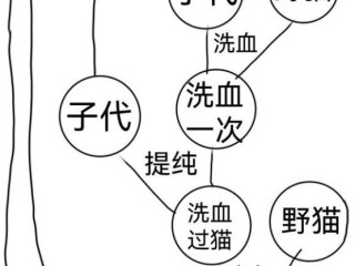 《喵喵的结合》稳定中低近亲育种方法